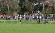 thm_Rothemann - SVS 13.4.08 19.gif